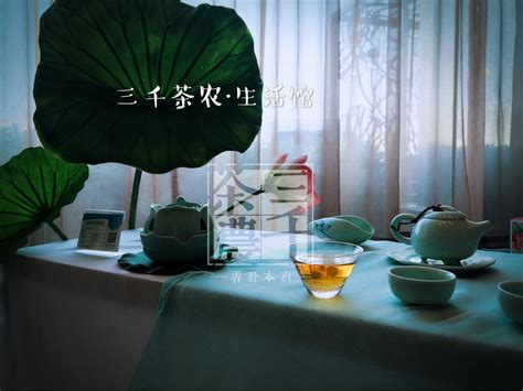 中国十大最美茶园：贺开古茶园入榜，云上茶园位列第一(3)_巴拉排行榜