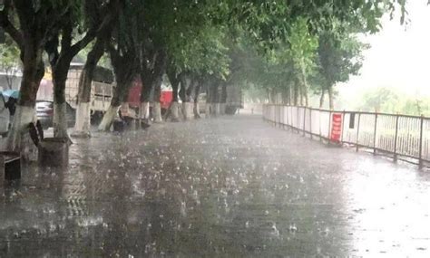 重庆昨日8区县遭大暴雨 已发布洪水黄色预警 - 天气网