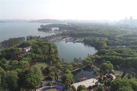 武汉市“美丽河湖”优秀案例 | 听涛内湖-碧潭观鱼-武汉市生态环境局
