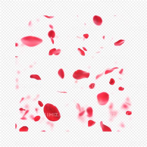 红色浪漫飘散的玫瑰花瓣图片素材免费下载 - 觅知网