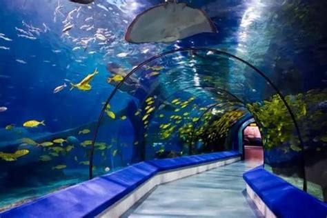 厦门海洋馆和海底世界哪个好玩，厦门旅游攻略-视觉旅行