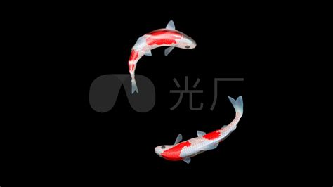 齐根石-太极鱼-新广陶瓷艺术馆