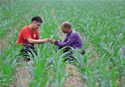 科技部：2022年农业科技进步贡献率达到61.5%以上_财经上下游_澎湃新闻-The Paper