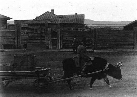19世纪末俄罗斯西伯利亚及远东原住民的照片，土地的原主人是谁？