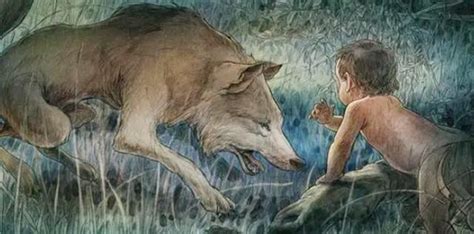 为什么狼遇到人类婴儿会将其养大，而不是吃掉？看完恍然大悟__财经头条
