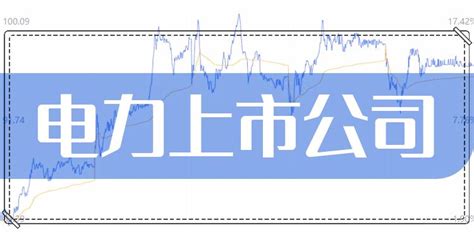 广东有哪些知名电力公司(广东电力上市公司) - 南方财富网