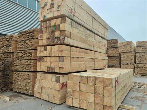 河南建筑木模板价格，廊坊建筑模板厂-金亨木业