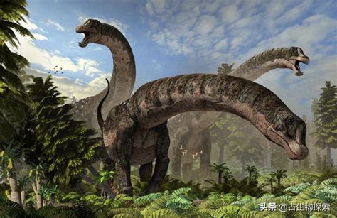 最大的恐龙（巨型蜥脚类恐龙）_斜杠青年工作室