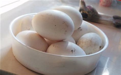 咸鸭蛋黄的营养价值及功效与作用 咸鸭蛋黄有什么作用_知秀网