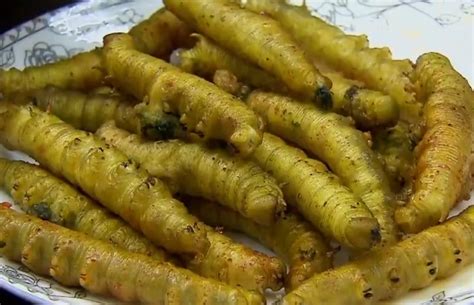 大豆虫图片