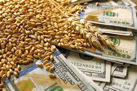 国内粮价上涨！哈萨克斯坦送来好消息：800万吨粮食瞅准中国市场__凤凰网