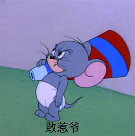 泰菲表情包图片