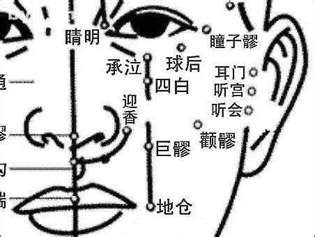 承浆的准确位置图图片 承浆的准确位置图图片