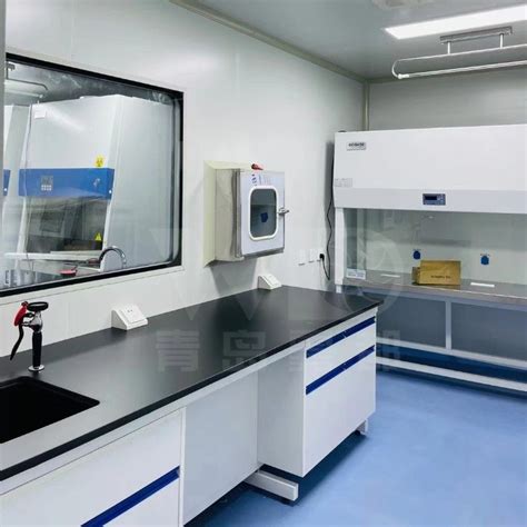 黄浦区首个移动PCR方舱实验室即将投入使用！卫监所全力保障安全建成 为保障黄浦区首个移动PC
