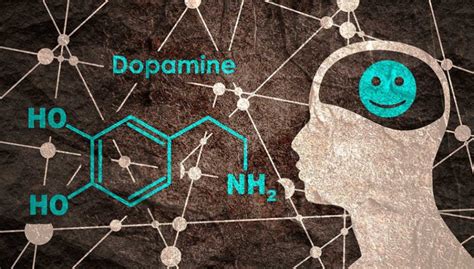 多巴胺能干嘛？ | 谱析（上海）生物科技有限公司