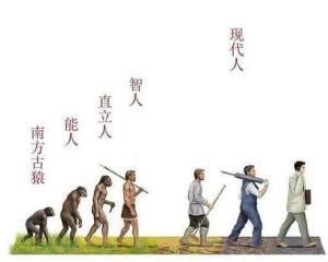 人类进化 - 搜狗百科