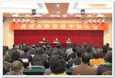 民进省级组织专职副主委工作会议在京召开