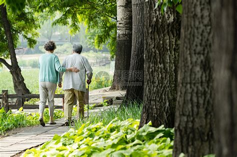 老年夫妇在公园里散步高清图片下载-正版图片507651842-摄图网