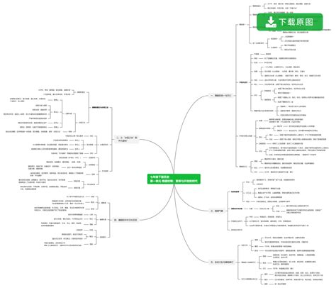 历史七下思维导图图片