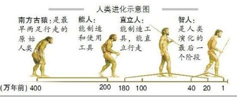 人类进化的四个阶段 人类的进化过程可以分为四个阶段_飞扬123