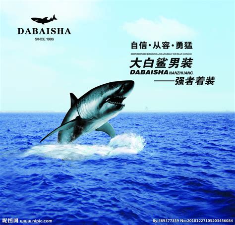 大白鲨男装设计图__海报设计_广告设计_设计图库_昵图网nipic.com
