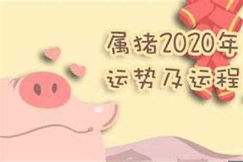 属猪2023年运势及运程1983年出生(1995年属猪是火命还是土命)_八字_若朴堂文化
