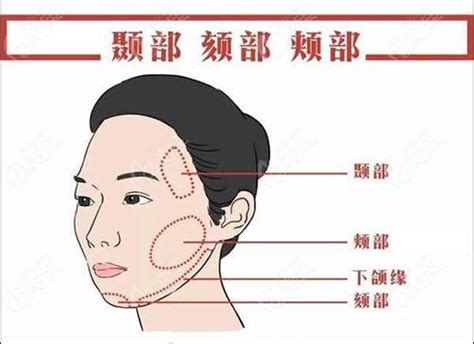 颏部具体位置图片