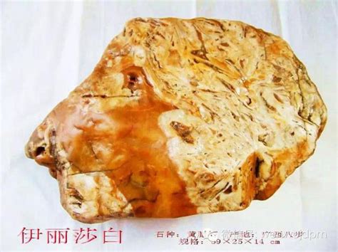 最贵的象形奇石图片,九个亿奇石,罕见天然奇石_大山谷图库
