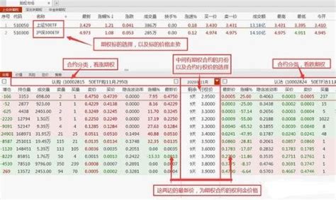 个股期权权利金比例多少合适-搜狐大视野-搜狐新闻