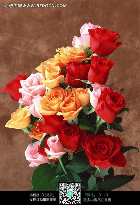 不同颜色的玫瑰花组合高清图片下载-正版图片307578976-摄图网