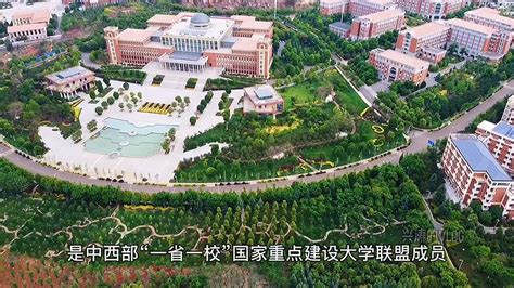 2019年，广东省录取分数最高的十所大学：这才是广东最好的大学|分数|文科|理科_新浪新闻