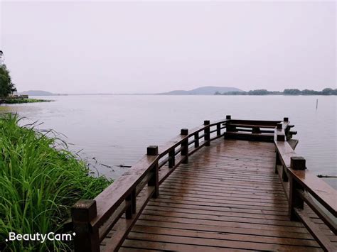 2021后官湖湿地公园-旅游攻略-门票-地址-问答-游记点评，武汉旅游旅游景点推荐-去哪儿攻略