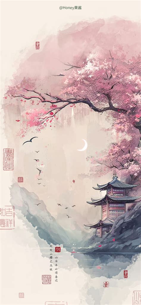 迷蝴蝶图片