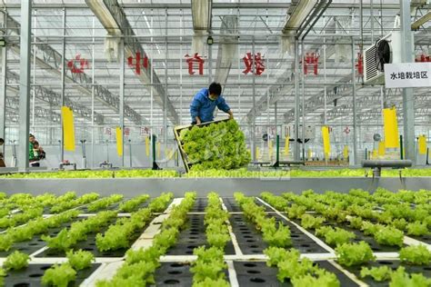 河南夏邑：科技助力智慧农业-人民图片网