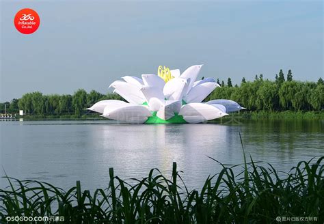 “设计师眼里的莲湖村”创意设计展在青西郊野公园举办- 上海本地宝
