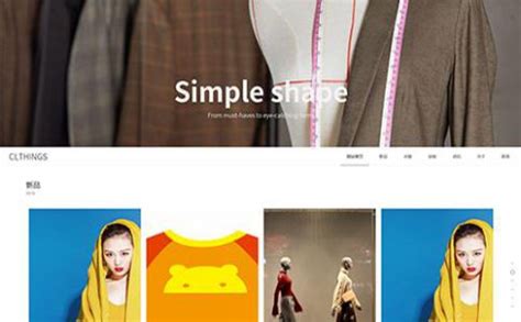 艾叶-服装饰品类专业网站seo推广_优化价格-关键词排名-派琪-PAIKY