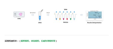 A32349 C-Kit基因突变检测试剂盒Sanger测序法-化工仪器网