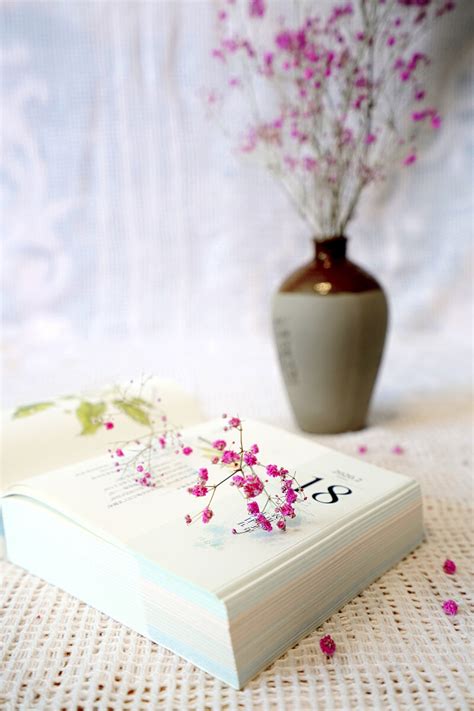 书配花图片,花瓶与书的图片,花与书淡雅图片_大山谷图库