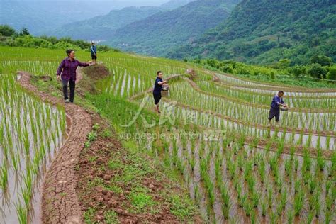 贵州赤水：助农服务进田间-人民图片网