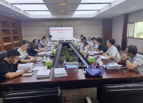 《连云港市矿产资源总体规划（2021－2025年）》通过省厅论证_图片新闻_连云港市自然资源和规划局