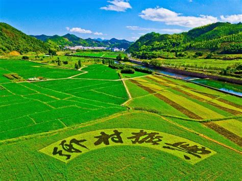 湖南:衡阳现代农业示范园特色简介 – 69农业规划设计.兆联顾问公司