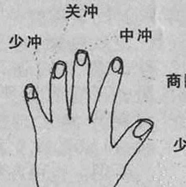 五指对应五脏图图片