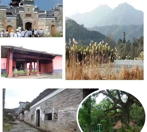 厉害了！宜春15个村庄上榜江西省“最具乡愁村庄”