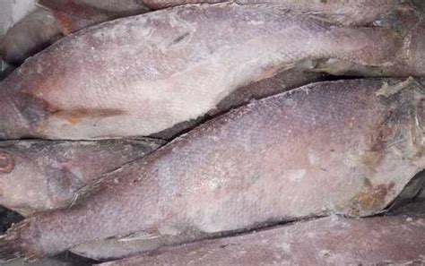 舌尖上的美味——东海米鱼