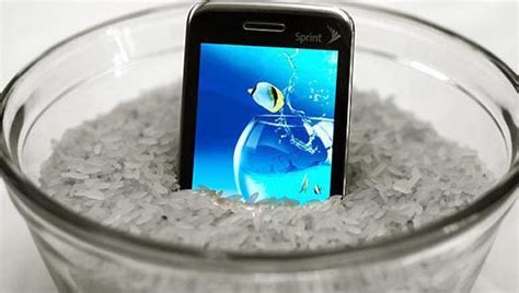 手机掉水里怎么办才能用 如何处理手机掉水里_知秀网