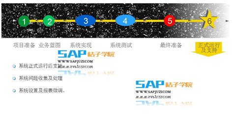 SAP顾问的工作内容具体有哪些？-SAP桔子学院