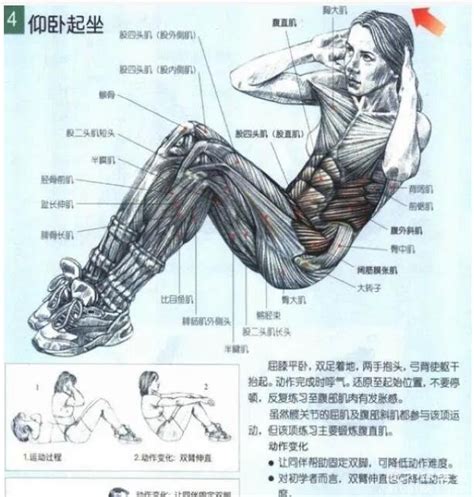 姿势图解图片