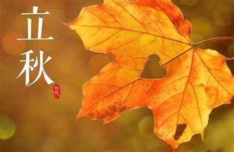 刘禹锡笔下的秋天，每一句都那么惊艳，美得令人心醉!_秋风
