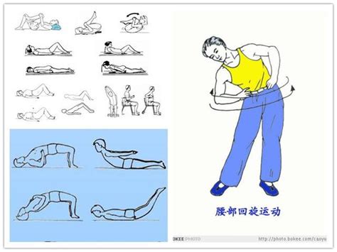 缓解腰肌劳损的动作,睡姿(第10页)_大山谷图库