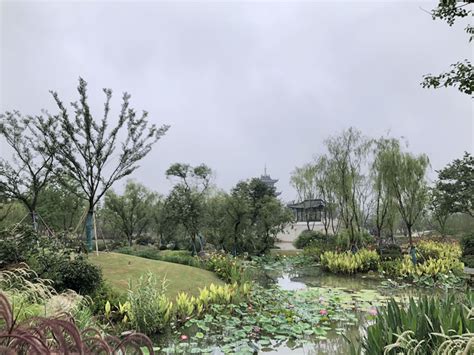 前塘河滨河景观绿化带 - 苏州市人民政府